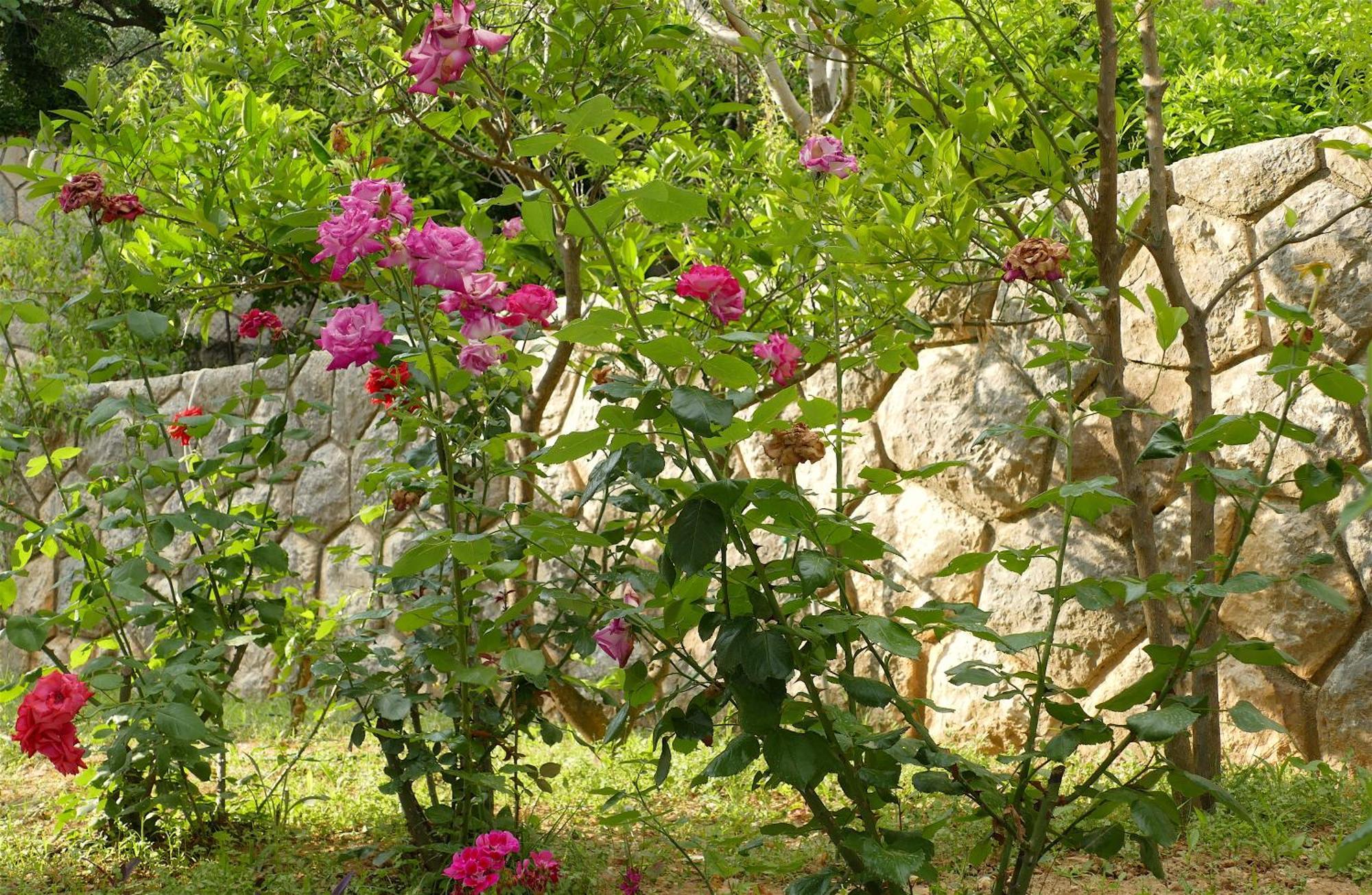 B&B Garni Toni Supetarska Draga Habitación foto